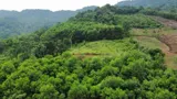 Đất Dân Cần Bán 50Ha Đất Rsx F0 Tại Cao Phong , Hòa Bình Cũ ,Nay Thuộc Phú Thọ - Ảnh 2