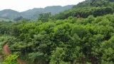 Đất Dân Cần Bán 50Ha Đất Rsx F0 Tại Cao Phong , Hòa Bình Cũ ,Nay Thuộc Phú Thọ - Ảnh 4