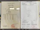 Chính Chủ Bán Nhanh Lô Đất Trồng Cây Lâu Năm Tại Thường Tân,  Bắc Tân Uyên, Bình Dương - Ảnh 2
