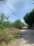 Chính Chủ Bán Nhanh Lô Đất Trồng Cây Lâu Năm Tại Thường Tân,  Bắc Tân Uyên, Bình Dương - Ảnh 4