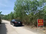 Chính Chủ Bán Nhanh Lô Đất Trồng Cây Lâu Năm Tại Thường Tân,  Bắc Tân Uyên, Bình Dương - Ảnh 5