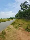 Diện Tích 25400M2 Đất Tại Hoà Bình, Xuyên Mộc , Brvt - ảnh 5
