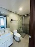 Chung Cư Mini Giá Rẻ Gò Vấp - Có Hồ Bơi - Nguyễn Bỉnh Khiêm - Ảnh 1