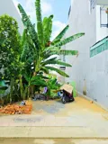 Bán Đất Thổ Cư Đường Long Thuận, Phường Long Phước, Tp Hcm, Dt 59M2, 4 X14.7m, Shr, 3.35 Tỷ - Ảnh 1