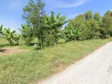 Giảm Sốc 14Tỷ! Đất Shr Mặt Tiền 5839M2, Nở Hậu – Kênh Trung Ương Hóc Môn Ss - Ảnh 1
