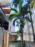 Chỉ Nhĩnh 3 Tỷ Có Ngay Lô Đất 148M K Trần Ngọc Sương, Hoà Thọ Đông, Cẩm Lệ, Thông Thăng Long - Ảnh 2
