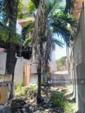 Chỉ Nhĩnh 3 Tỷ Có Ngay Lô Đất 148M K Trần Ngọc Sương, Hoà Thọ Đông, Cẩm Lệ, Thông Thăng Long - Ảnh 1