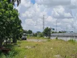 1.1Ha Đất Mặt Tiền Shr, Nở Hậu – Phạm Thị Giây Hóc Môn Ss - Ảnh 3