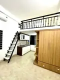 CCMN Tân Triều - Dòng Tiền Vàng, Ô Tô Tránh, Full Nội Thất - Ảnh 1