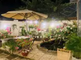 Bán Biệt Thự Căn Góc 2 Mặt Tiền Đường Lầu Ông Huyện - Ảnh 3