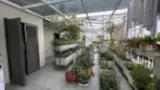 Biệt Thự Xuân Đỉnh - Bắc Từ Liêm: 124m2, 5 Tầng, Thang Máy, Mặt Tiền 9.9m, Oto Tránh - Ảnh 10