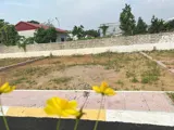 Bán Gấp Lô Đất Trục Chính Thạch Thất - Giá Chỉ Hơn 1 Tỷ - Ảnh 2