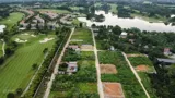Đất đấu giá Hồ Văn Sơn 167m2 Full Thổ Cư - Vị trí đắc địa, gần Skylake - Ảnh 5