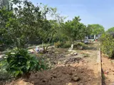 Bán 480M² Đất Tại Hòa Sơn ,Lương Sơn, Hòa Bình – Gần Kcn, Giáp Đường Đông Dương, Giá Đầu Tư - Ảnh 2