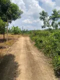 Chính Chủ Bán Đất Ấp 6, Xã An Khương, Hớn Quản, Bình Phước - Ảnh 1