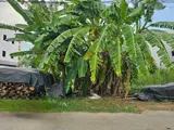 Bán Đất Phân Lô Bưng Ông Thoàn – Vị Trí Đẹp, Đường Rộng, Giá Tốt - Ảnh 3