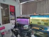 Bán Nhà Hbg Phạm Văn Bạch, P15, Tân Bình, 73M2, 2 Tầng, 4.X Tỷ - Ảnh 4