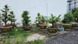 Đất Nền Mặt Tiền Thạnh Xuân 22, Quận 12 - Vị Trí Đắc Địa, Giá Tốt - Ảnh 4