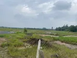 Siêu Hot – Bán Gấp 6.800M² Đất Mặt Tiền Hồ Văn Tắng – Tân Phú Trung - Ảnh 5