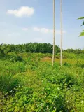 Chủ Kẹt Tiền Cần Bán Lô Đất Tại Mt Đường Dx 017 Có 1000 M² Đất Ở., Cẩm Thanh Giá 18 Tỷ - Ảnh 3