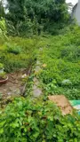 Đất Đẹp - Giá Tốt - Bán Đất, Hẻm 78, Đường Đô Lương, Thành Phố Vũng Tàu (Cũ) - Ảnh 5