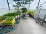 Nhà Trường Chinh 68m² 3 Tầng, Xe Hơi Đỗ Cửa - Giá 6.3 Tỷ - Ảnh 3