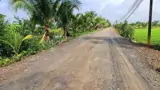 Bán Đất Ở Long An Tổng Diện Tích 2 Mảnh 7200 M2 Giá Cả Thương Lượng - ảnh 3