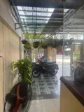 Ngân Hàng Thanh Lý Bán Đất 4Mt Đường Cửa Đại - Tp Hội An Giá 38 Tỷ - Ảnh 4