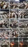 Trang Trại Chăn Nuôi Heo Qui Mô Lớn 10 Hécta Giá 155 Tỷ Giá Cả Thương Lượng Nhẹ - Ảnh 3