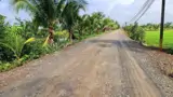 Bán Đất Ở Long An Tổng Diện Tích 2 Mảnh 7200 M2 Giá Cả Thương Lượng Nhẹ - ảnh 3
