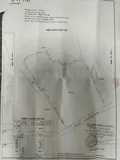 Bán Đất Vườn Tại Quận 9 Tphcm Giá 62 Tỷ Giá Cả Thương Lượng Nhẹ - Ảnh 3