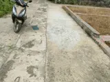 Bán Đất Tổ 9 (Ấp Tre), Xã Quang Minh, Hn - Nhõ Thông Bàn Cờ, Ôtô Vào Đất, 100% Thổ Cư, Giá Đầu Tư - Ảnh 5