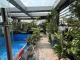Hiếm! Sát Royal City! Tòa Nhà 8T Thang Máy 140M2, Mt 6.2M, Dòng Tiền 302Tr/tháng - Ảnh 4