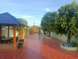 Bán Văn Phòng Nhà Vườn Gần Ubnd Xã Châu Pha Như Hình Gần 550Mv - Ảnh 3