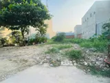 Giảm Ngay 1 Tỷ – Bán Gấp Đất Đẹp 1/ Bùi Thị Lùng – Thới Tam Thôn, Hóc Môn - Ảnh 3