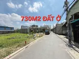 Đất Đẹp (10X55) Xây Biệt Thự Nhà Xưởng – Hẻm 1/ An Phú Đông 25, Q12 - Ảnh 3