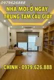 Nhà Mới – Ở Ngay – Trung Tâm Cầu Giấy - 31X5 T - Giá Chỉ 9.1 Tỷ - Ảnh 2