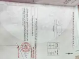 Chủ  Cần Bán Đường Bê Tông Nhánh Nam Kỳ Khởi Nghĩa, Xã Đất Đỏ, Tp Hcm - ảnh 3