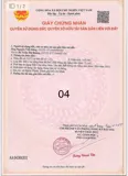 Lô 2Mt 80Tc Giá 700Tr , Lô 1Mt Nhựa Giá 620Tr - Ảnh 3