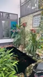 Nhà Đẹp- Giá Tốt - Chính Chủ Cần Bán Nhanh Nhà Đường Y Nuê, Phường Ea Tam,  Buôn Ma Thuột, Đắk Lắk - Ảnh 3