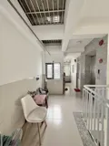 Dòng Tiền 19 Phòng Đường 6M Phan Huy Ích Gò Vấp Thông Tứ Tung - Ảnh 3