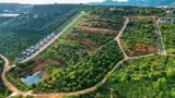 Bán Lô Đất Thổ Cư Mê Linh - Tà Nung, Đà Lạt - Giá Chỉ 480 Triệu - Ảnh 2