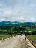 Bán Lô Đất Thổ Cư Mê Linh - Tà Nung, Đà Lạt - Giá Chỉ 480 Triệu - Ảnh 3