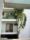 Cho Thuê Nhà Xinh Xắn 2 Tầng Cao Thắng, Q3: 20M2, 2Pn, Giá Chỉ 12Tr/tháng, Gọi Ngay 0938772167! - ảnh 2