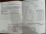 Bán Gấp Đất 2 Mặt Tiền Nguyễn Thị Nê, Phú Hòa Đông, Củ Chi - Ảnh 3