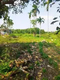 Chủ Kẹt Tiền Cần Bán Lô Đất Tại Mt Đường Dx 017 Có 1000 M² Đất Ở., Cẩm Thanh Giá 20 Tỷ - Ảnh 1