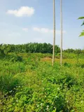Chủ Kẹt Tiền Cần Bán Lô Đất Tại Mt Đường Dx 017 Có 1000 M² Đất Ở., Cẩm Thanh Giá 20 Tỷ - Ảnh 3