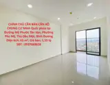 Chính Chủ Bán Căn Hộ Chung Cư Minh Quốc Plaza Tại Đường Mỹ Phước Tân Vạn, Phường Phú Mỹ - Ảnh 1