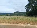 Đất Đẹp - Giá Tốt - Chính Chủ Cần Bán Lô Đất Vị Trí Đẹp Tại Xã Gia Lâm, Lâm Hà, Lâm Đồng - Ảnh 4