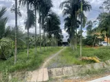 Đất Đẹp – Giá Đầu Tư  - Cần Bán Lô Đất Sau:  Gần Ubnd Lộc Thành, Bảo Lâm, Lâm Đồng - Ảnh 4